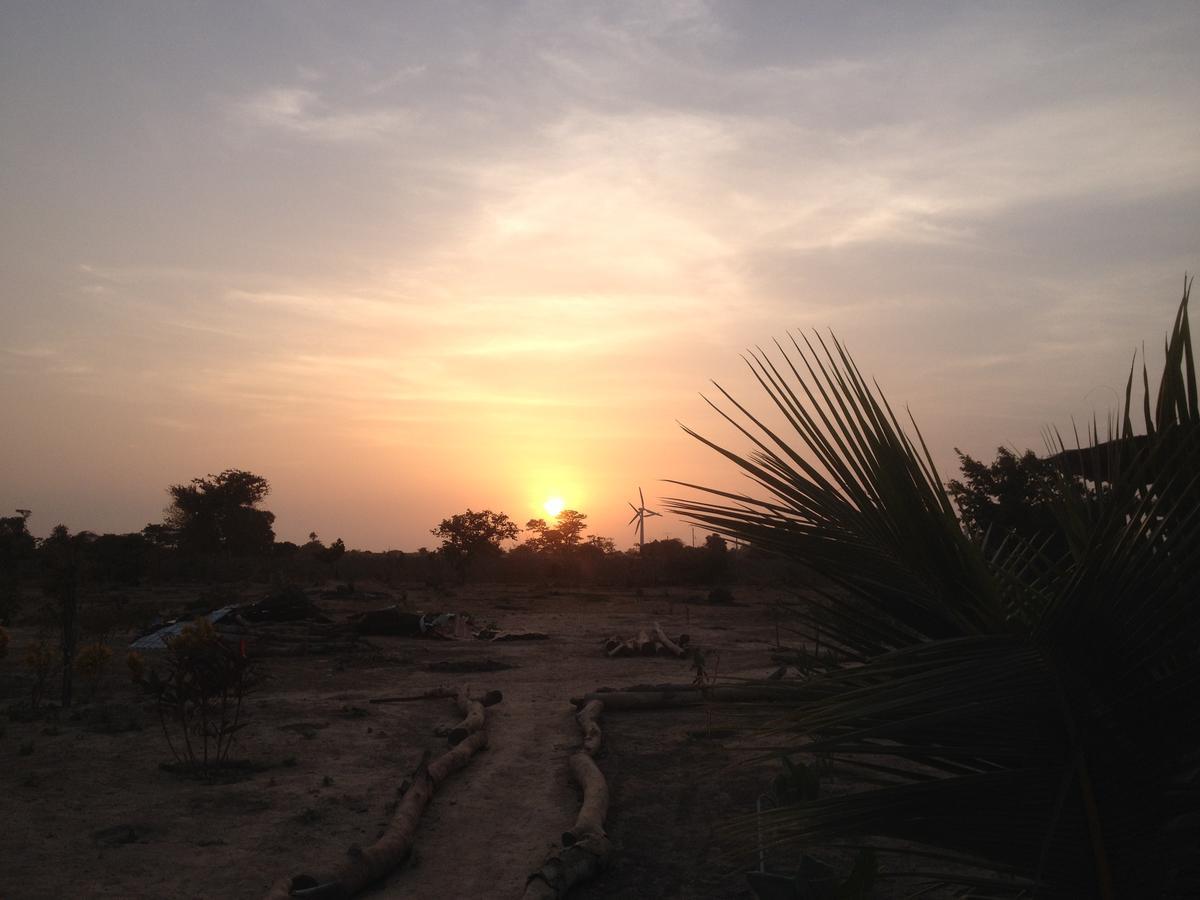 Mama Africa Art Residence & Art Center Gambia Tanji Buitenkant foto